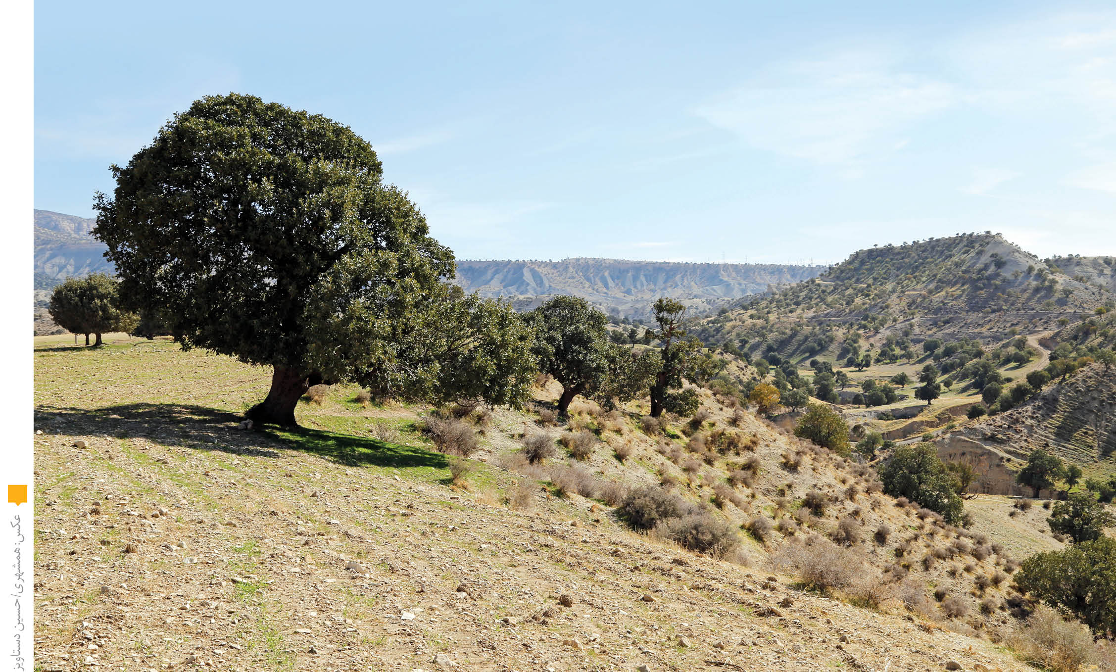 سرایداران زاگرس