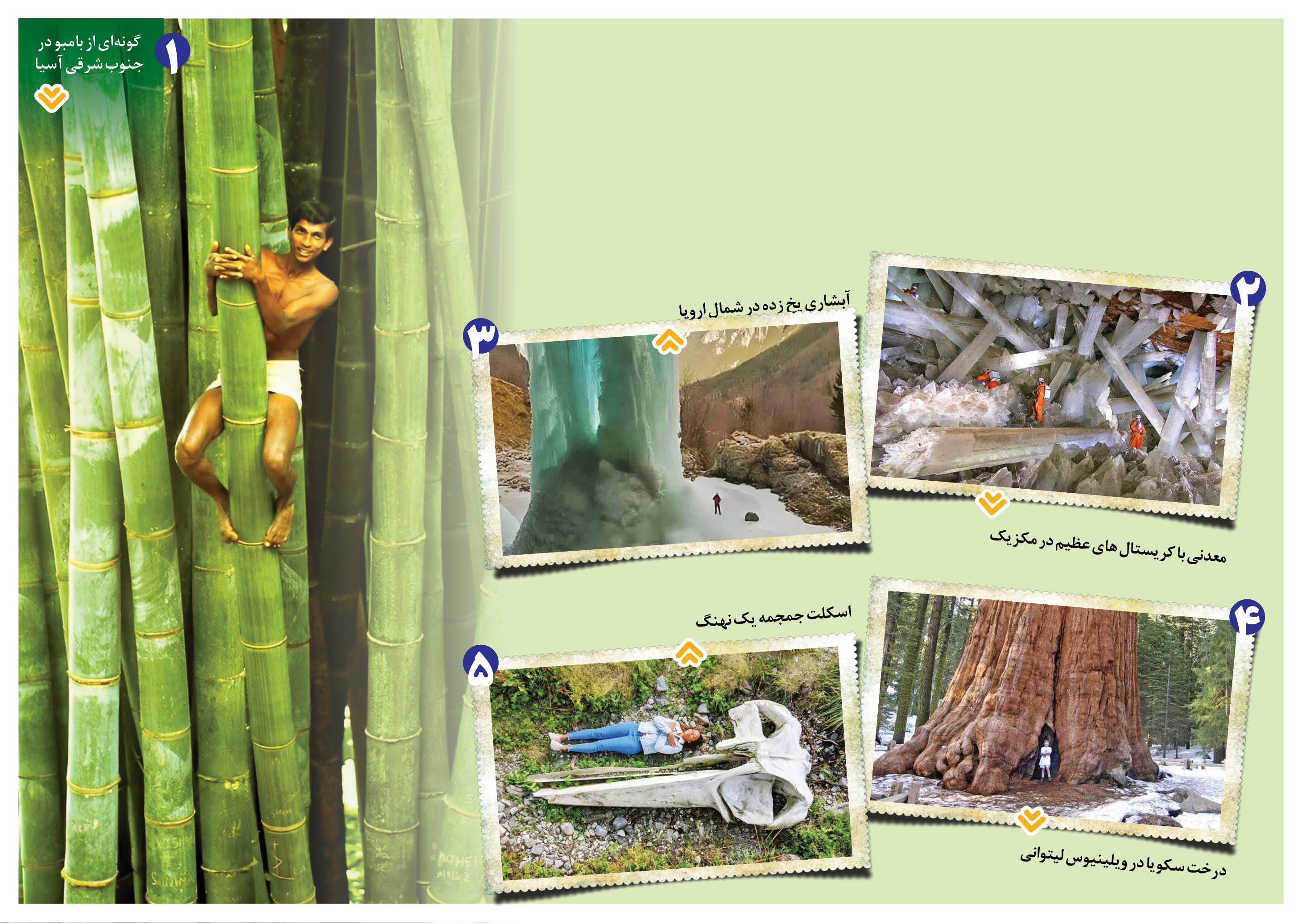 قطره در دریا