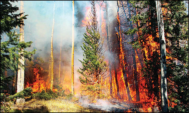 پیش‌بینی بحران با هوش مصنوعی