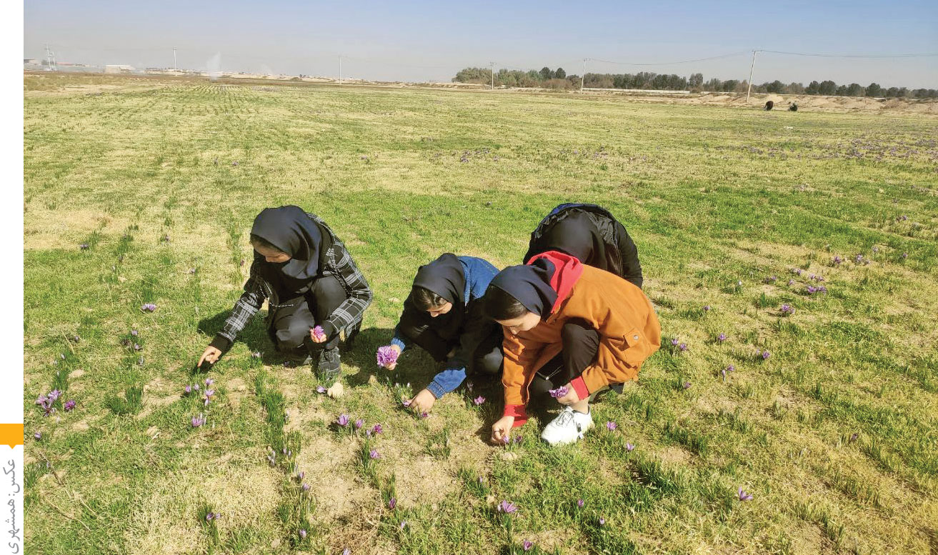 مدرسه زعفرانی