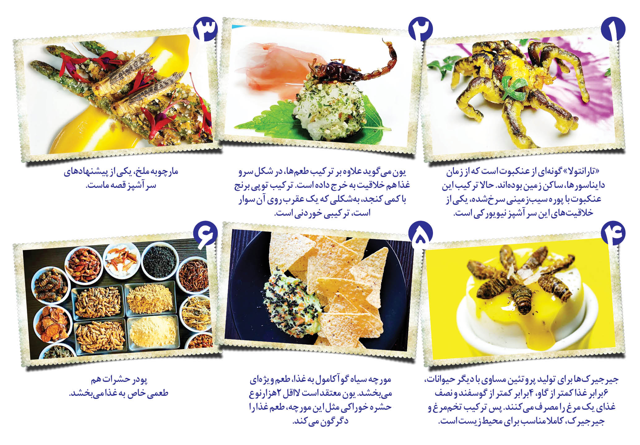 حشرات خوردنی