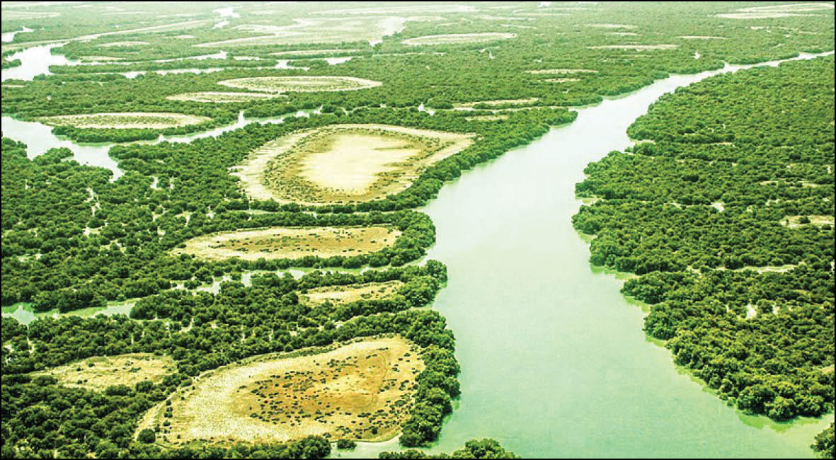 شگفتی‌های سواحل ایران