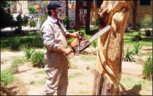 درختان خشکیده با هنر زنده می‌شوند