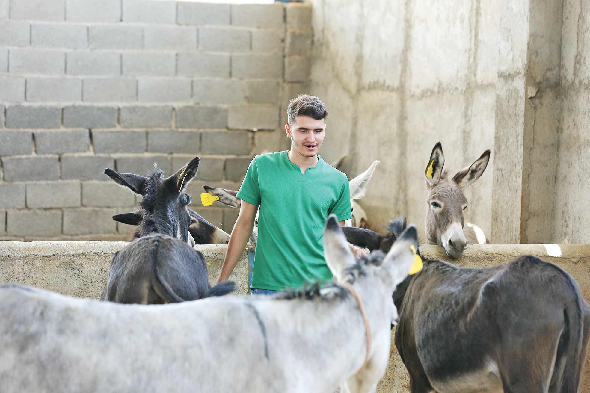 سلطان خر ایران