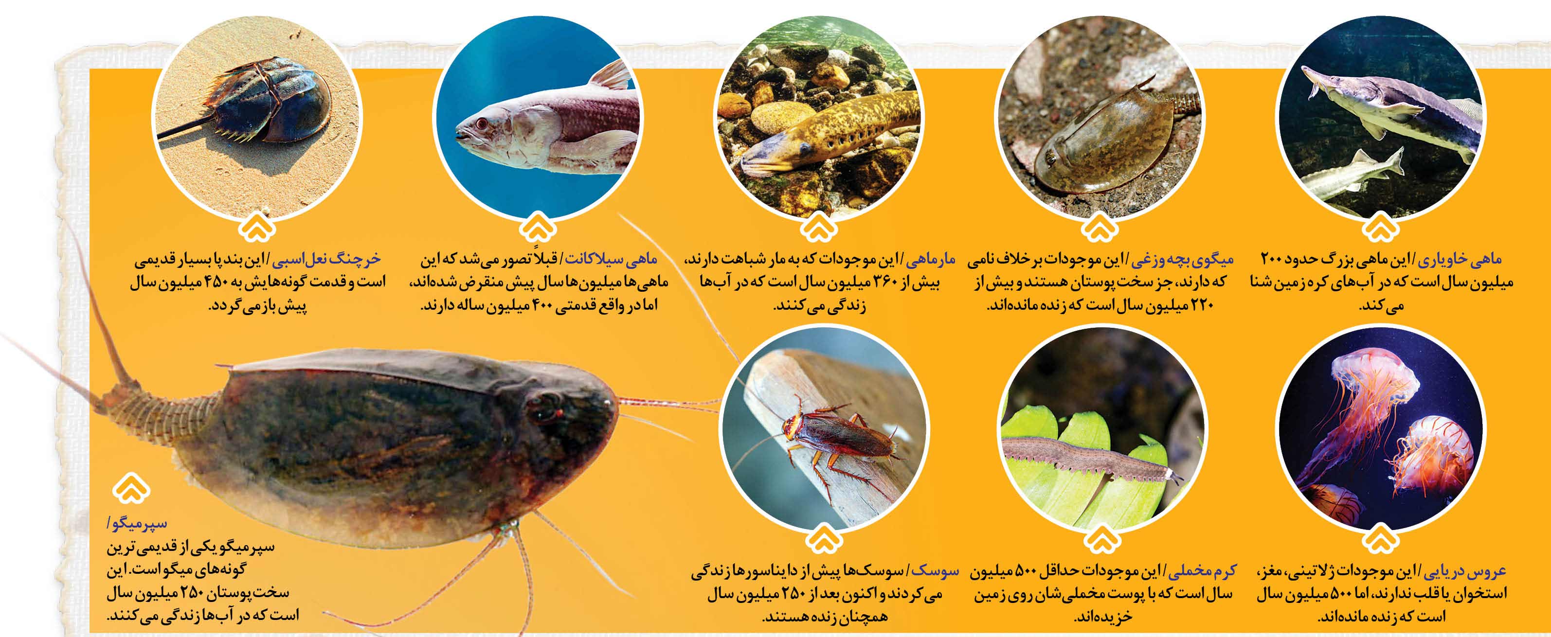 موجودات میلیون‌ ساله