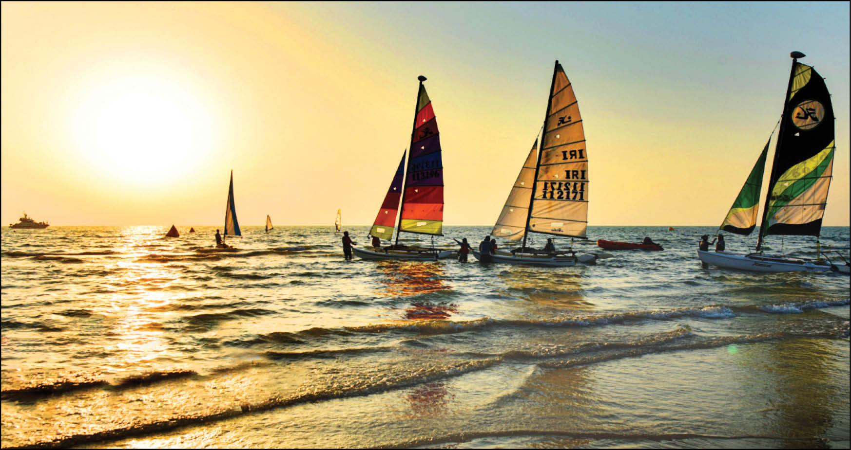 سرزندگی در ساحل