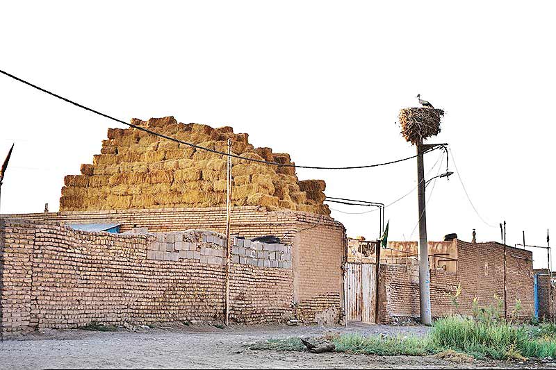 مایان سفلی، میزبان لک‌لک‌های مهاجر