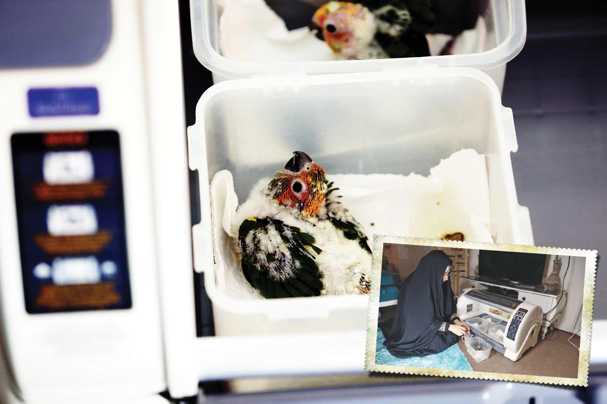 موفقیت به شرط دانش