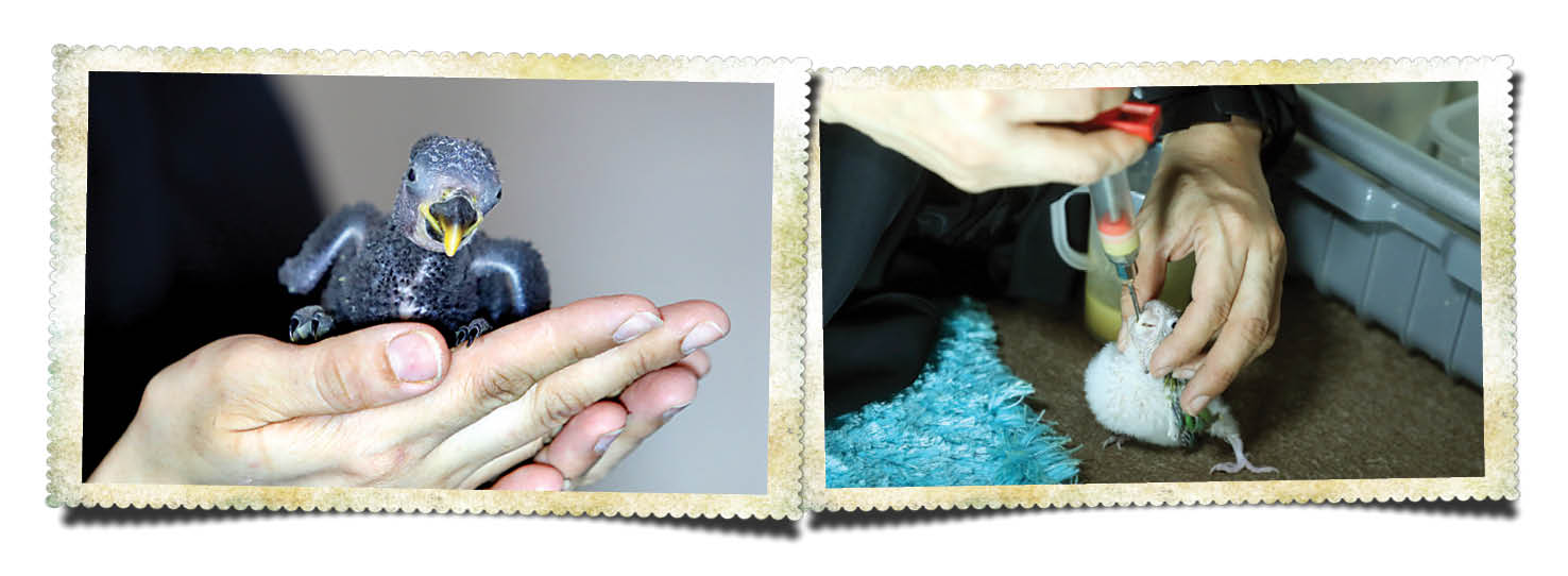 کسبی سودآور