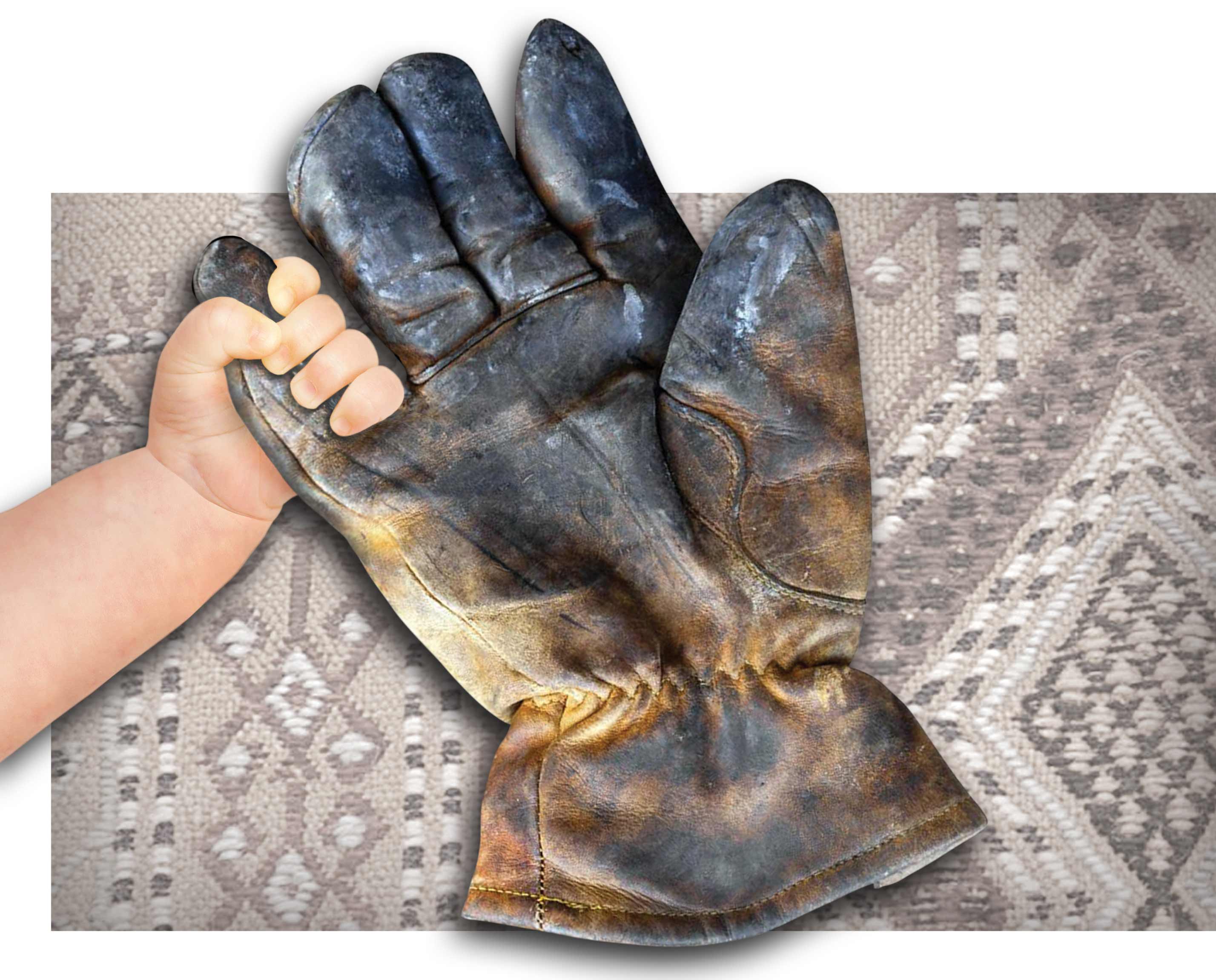 جوانه‌ای در دل طبس سبز شد