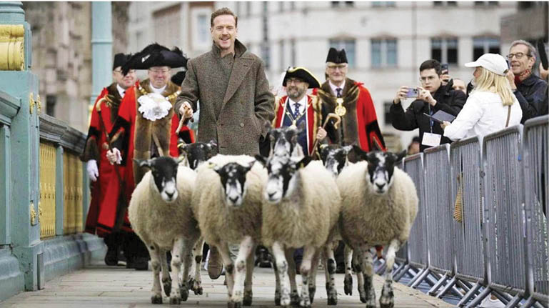 بازیگر هالیوودی چوپان شد