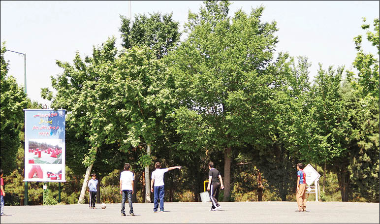 دروغ‌ها قدکشیدند؛ این بار نابودی 60درصد چیتگر!