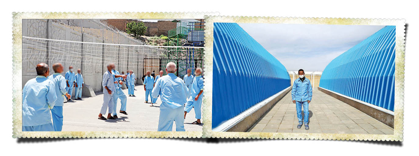 حمایت افزایشی