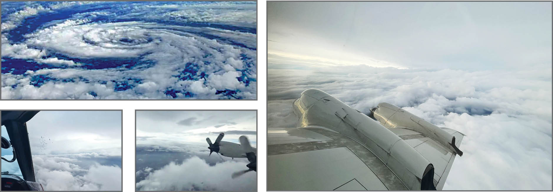 شکارچیان توفان