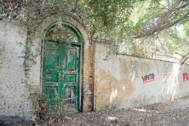 قصه غم‌انگیز صاحب باغ لاله