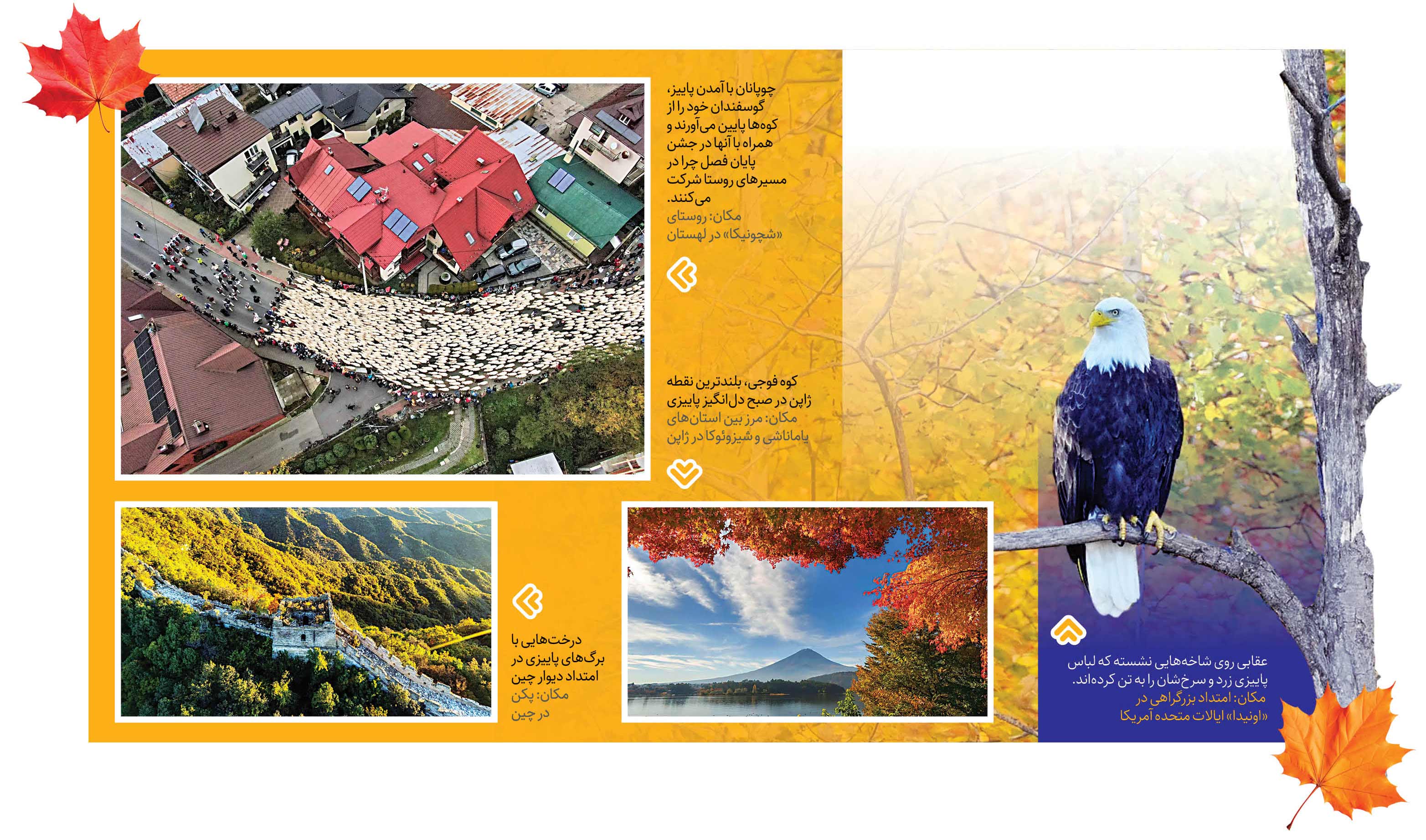 پاییز رنگ‌رنگ