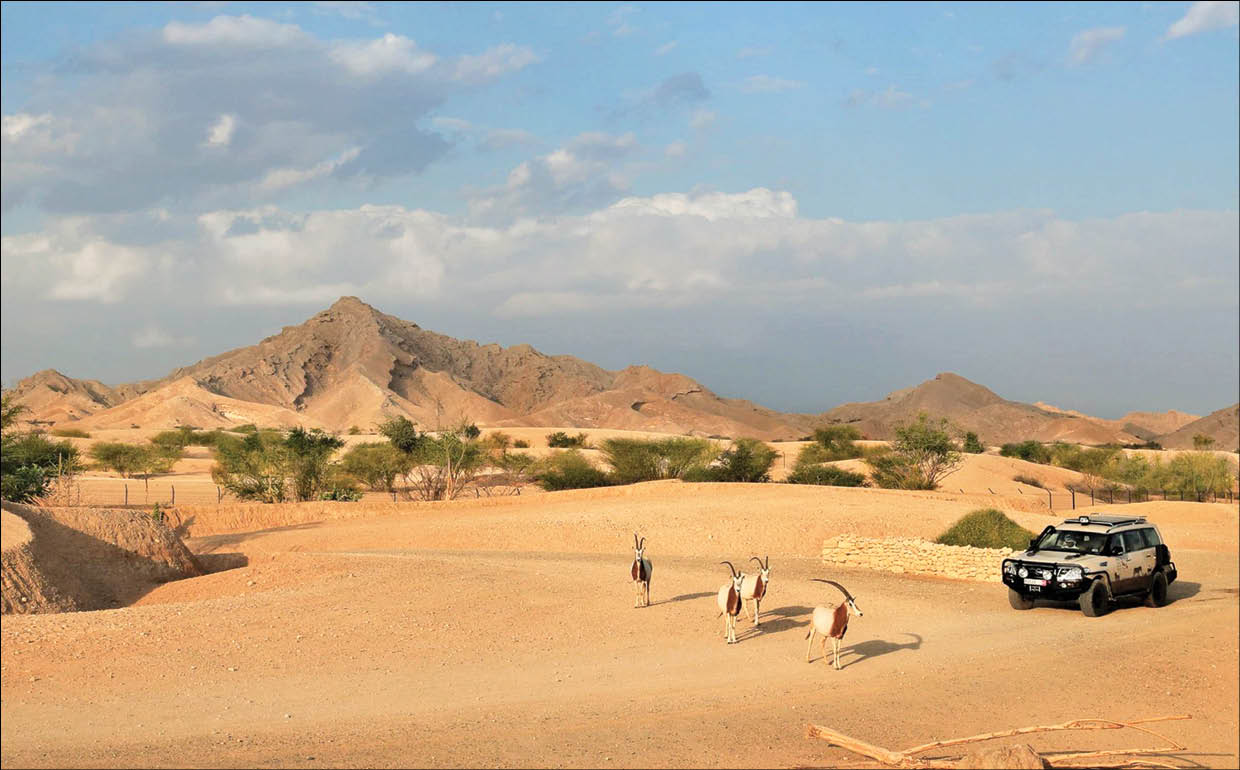 پاییز فصل مناسبی برای سفر به مناطق بکر است