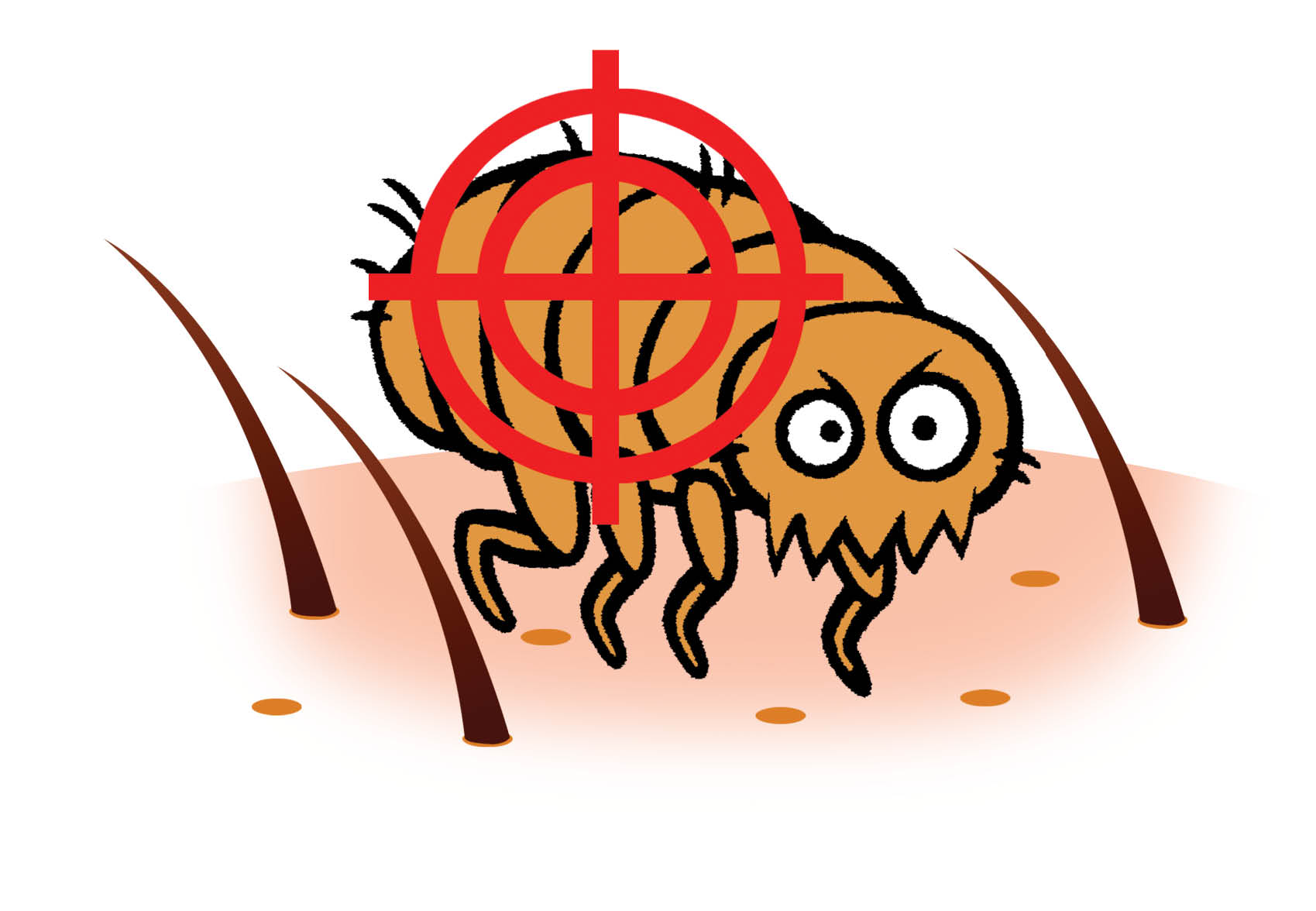 چطور گرفتار شپش‌ها نشویم؟