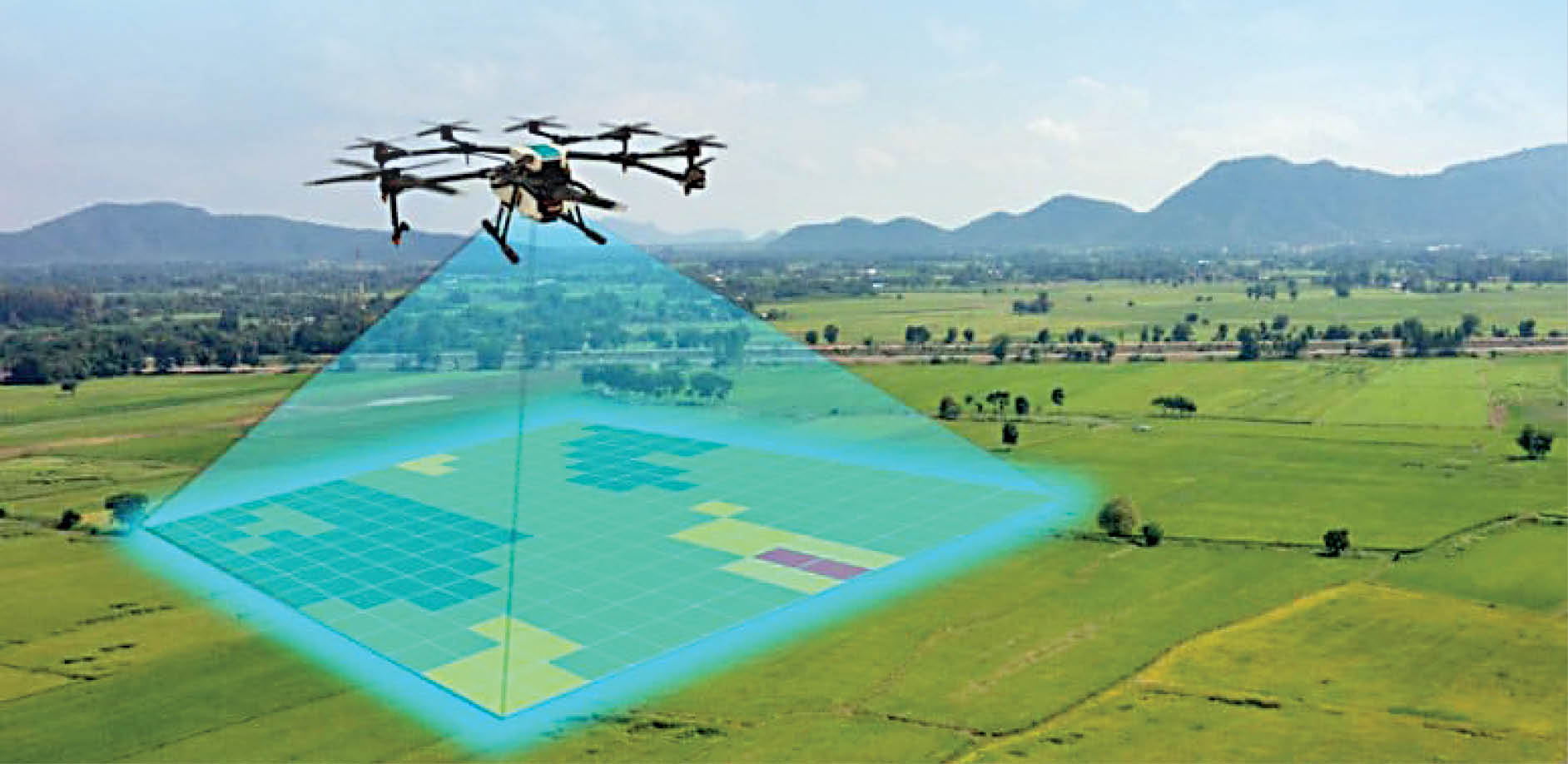 پایان درگیری شکارچی و محیط‌بان