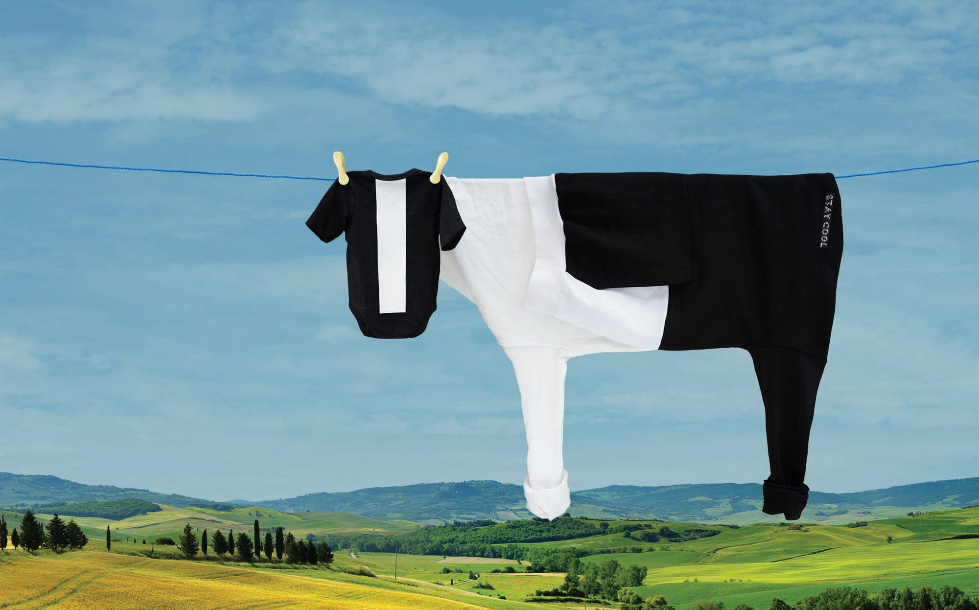 هنر بند رختی