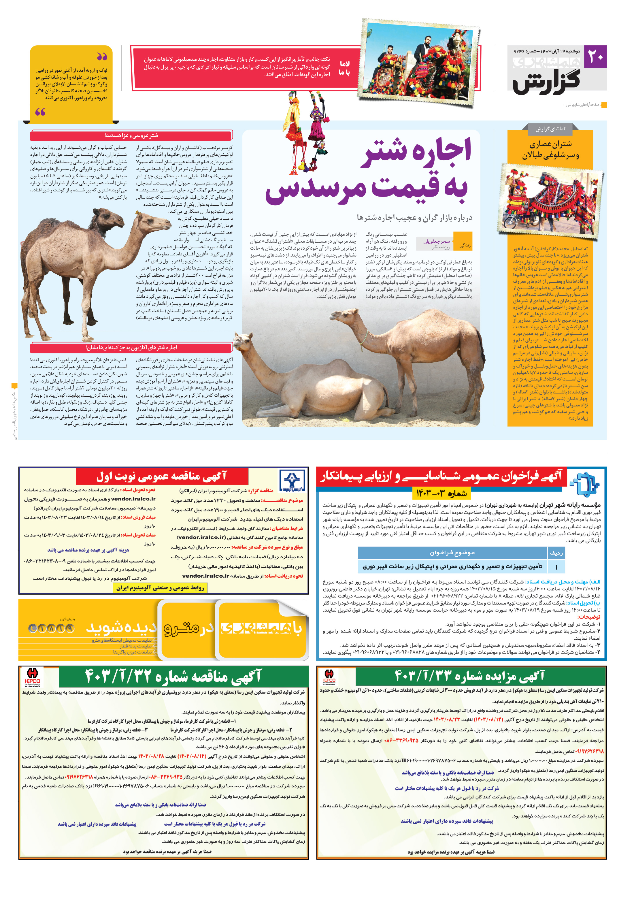 همشهری گزارش