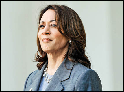 کامالا هریس از دادستانی تا کاخ سفید