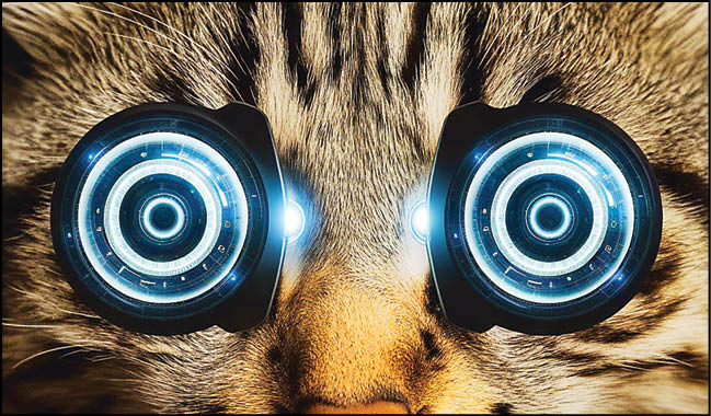 الهام از چشم گربه برای دید بهتر پهپادها