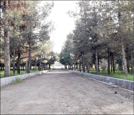 گذر بوستان ولایت