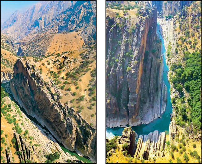 پای سیاه شیطان اینجاست