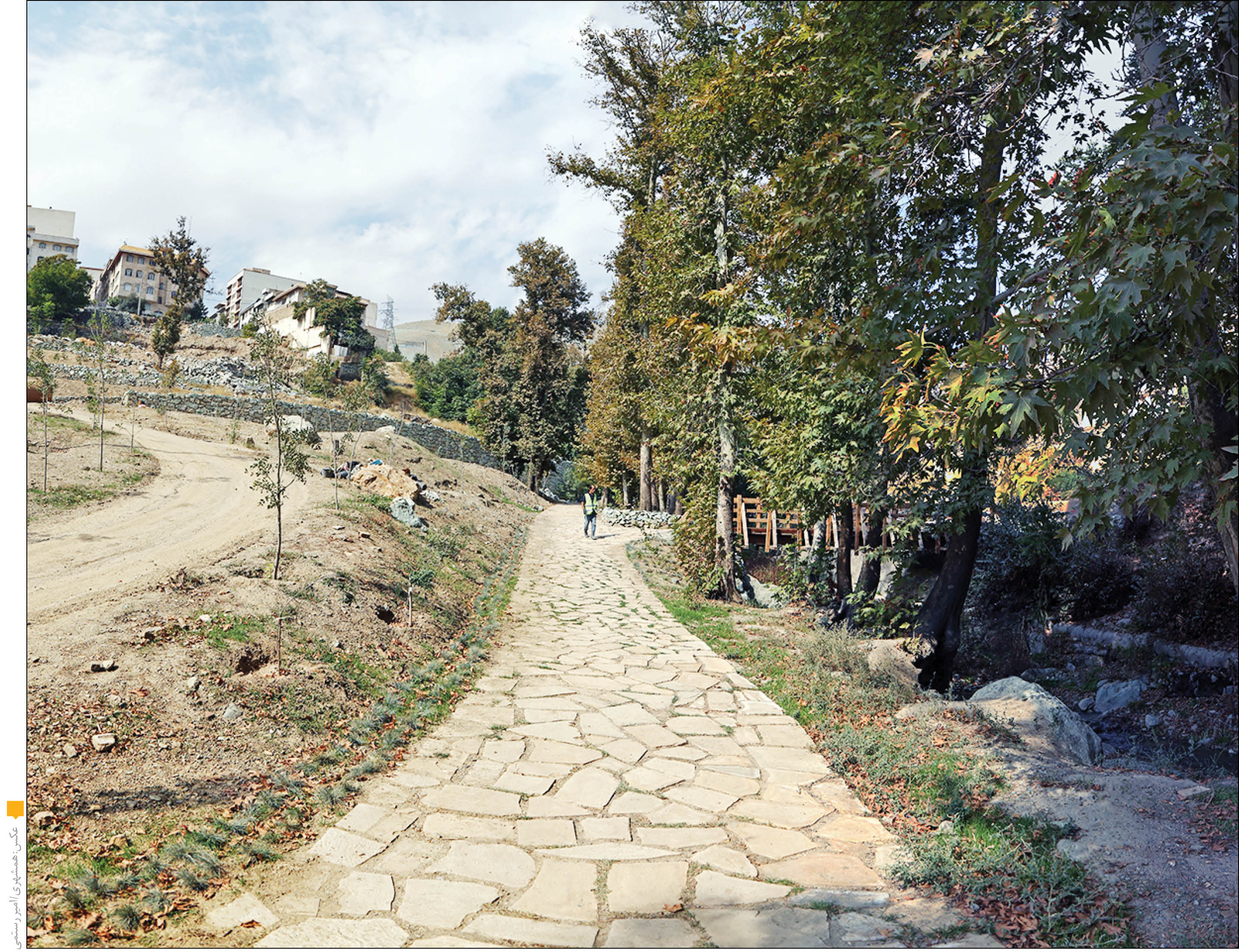 روز باشکوه فرحزاد