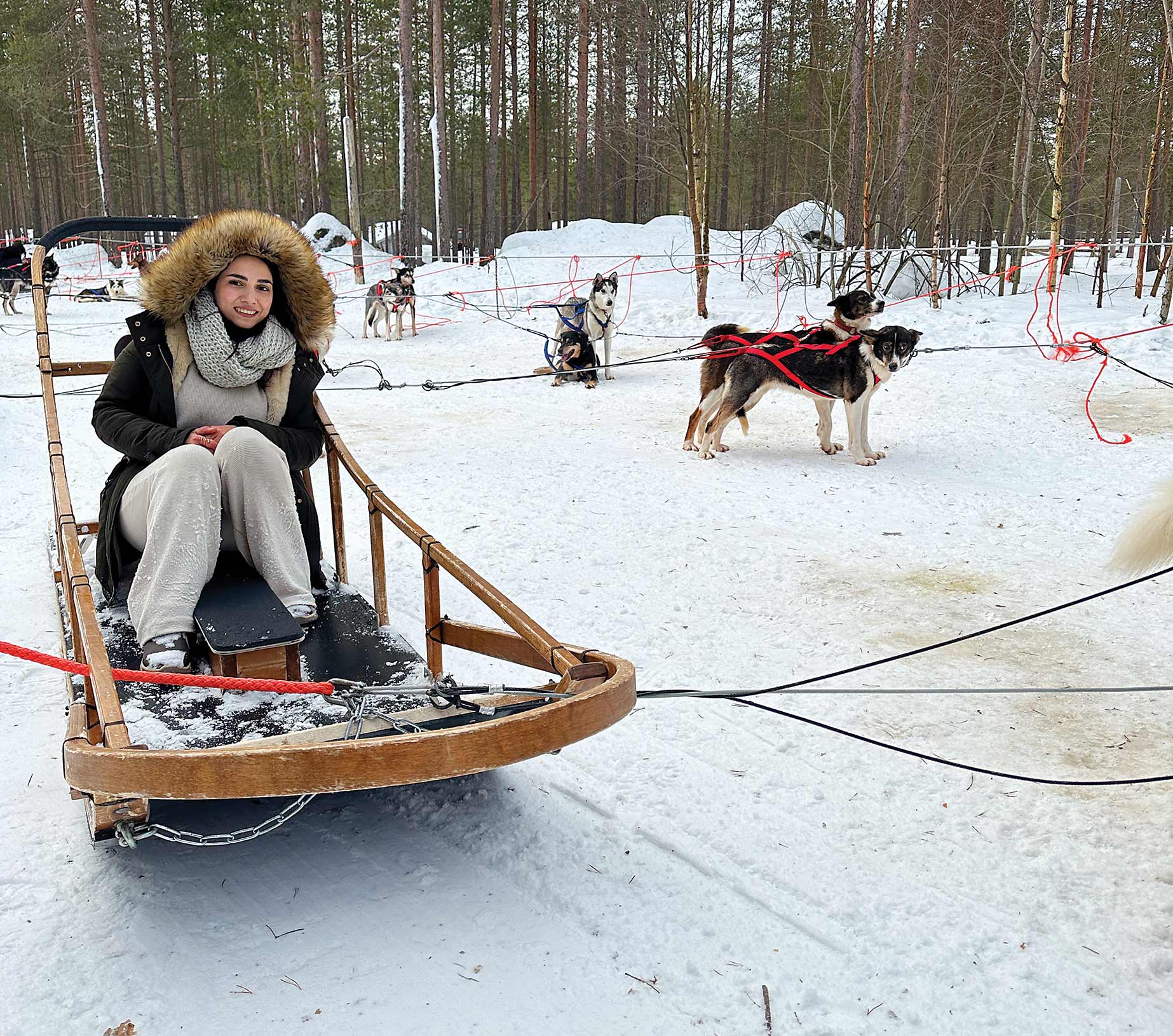 بازگشت به اصل