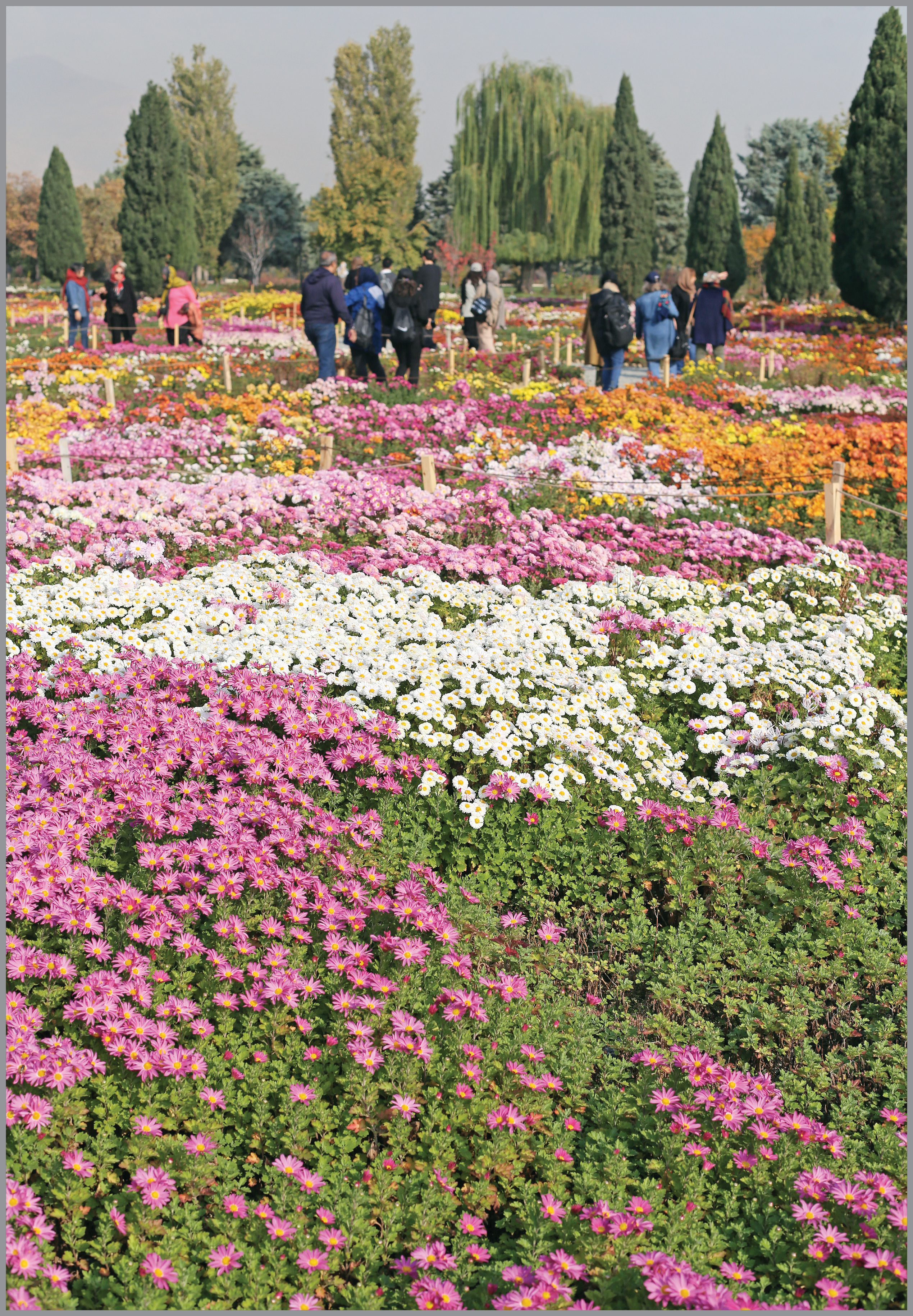 اینجا بزرگ‌ترین باغ گیاه‌شناسی خاورمیانه است