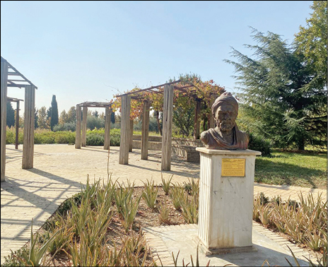 باغ گیاهان دارویی و صنعتی