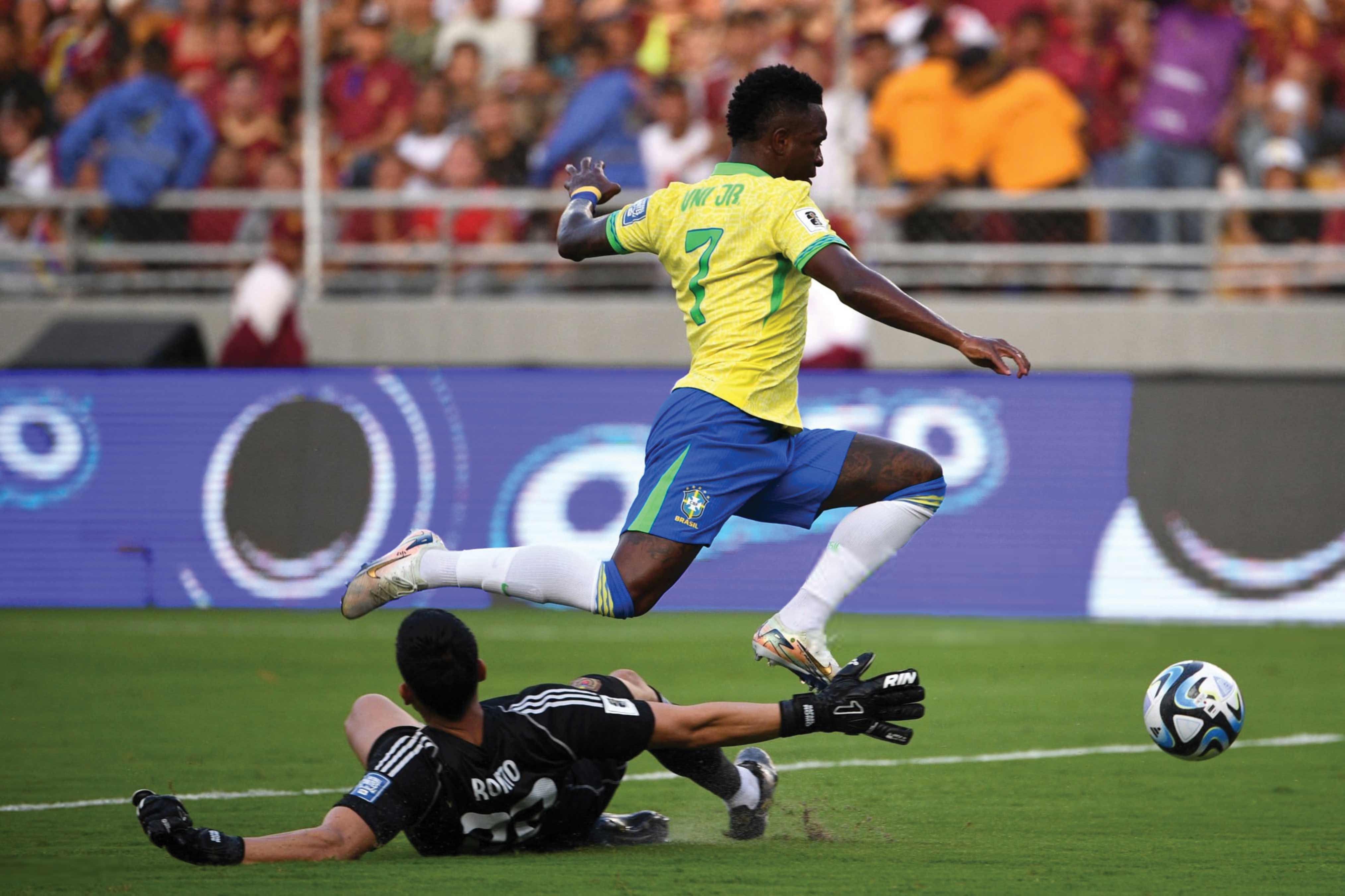 شیر در باشگاه