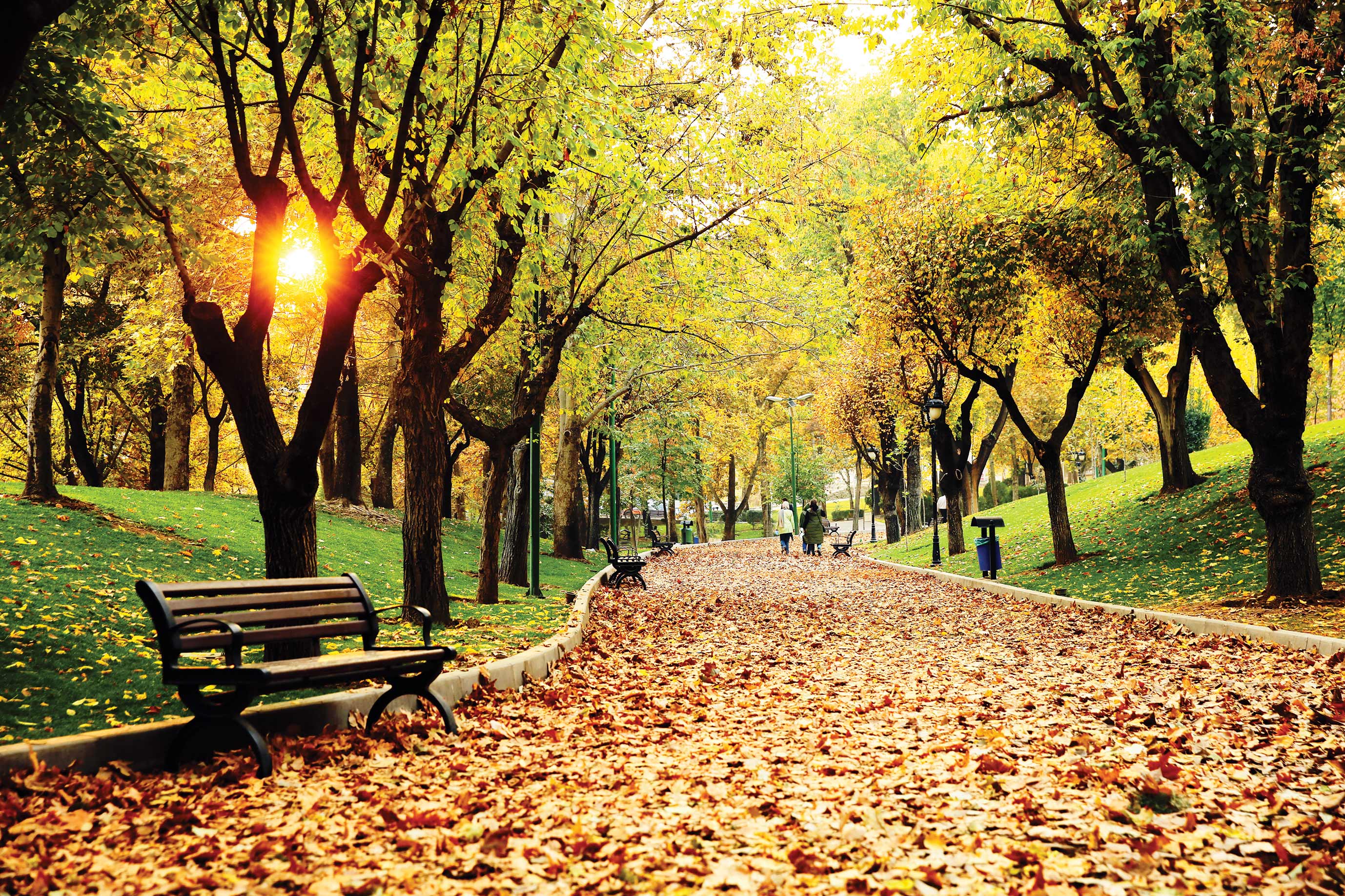 با من قدم بزن