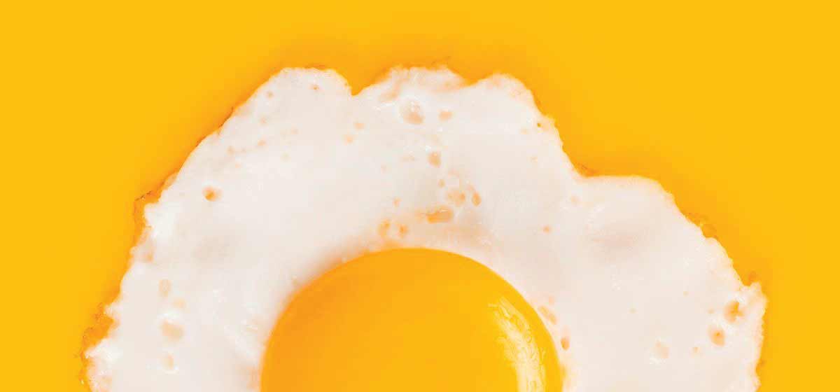 پوست‌اندازی قیمت تخم‌مرغ