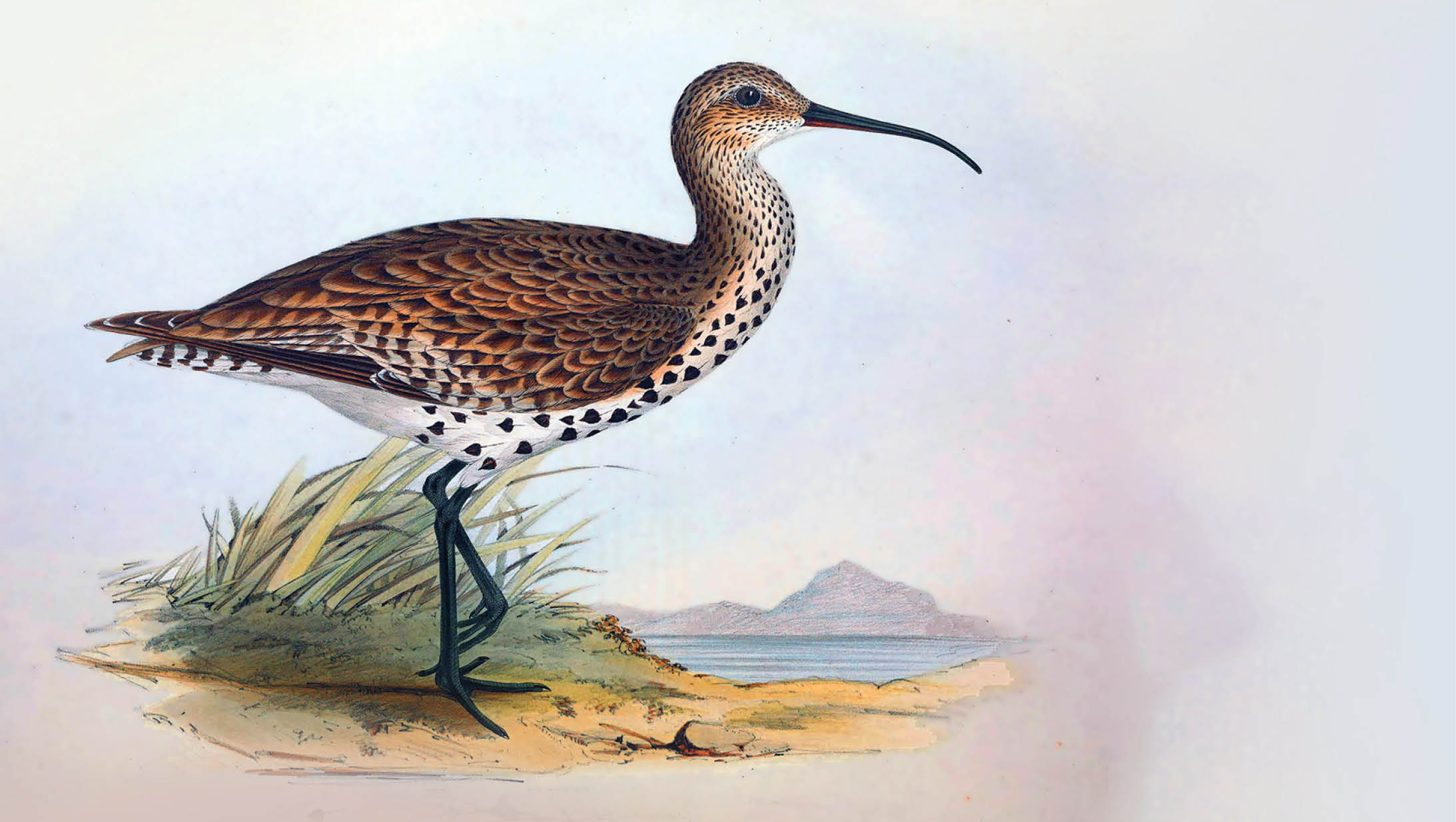 آخرین «گیلانشاه»