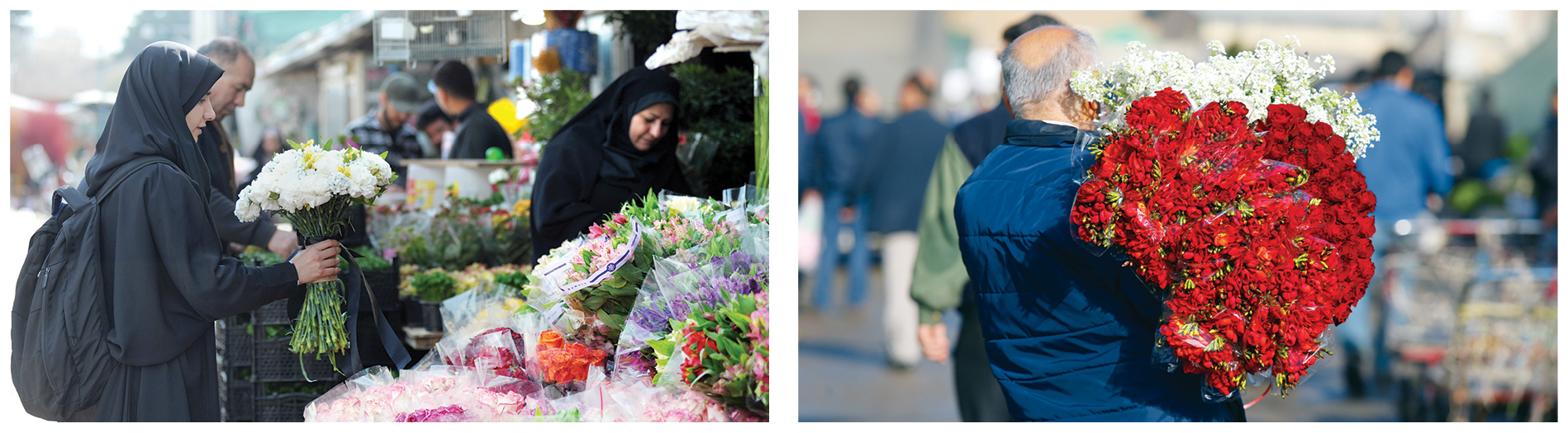 بهار را‌چطور به تهران‌بیاوریم؟