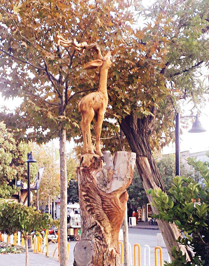 درختان هنری شهر