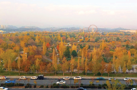 جشنواره رنگ