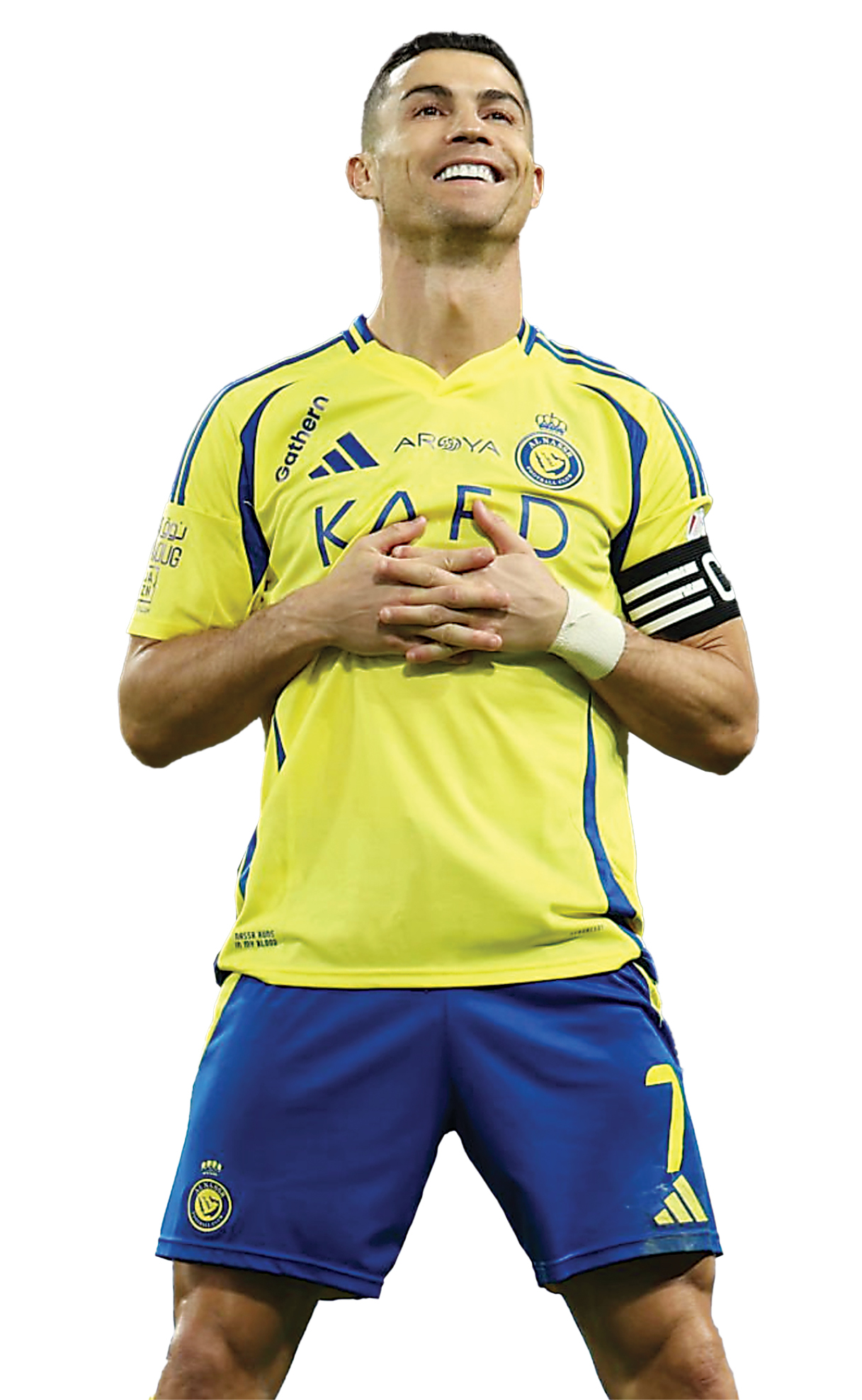 هزار و کریس گل