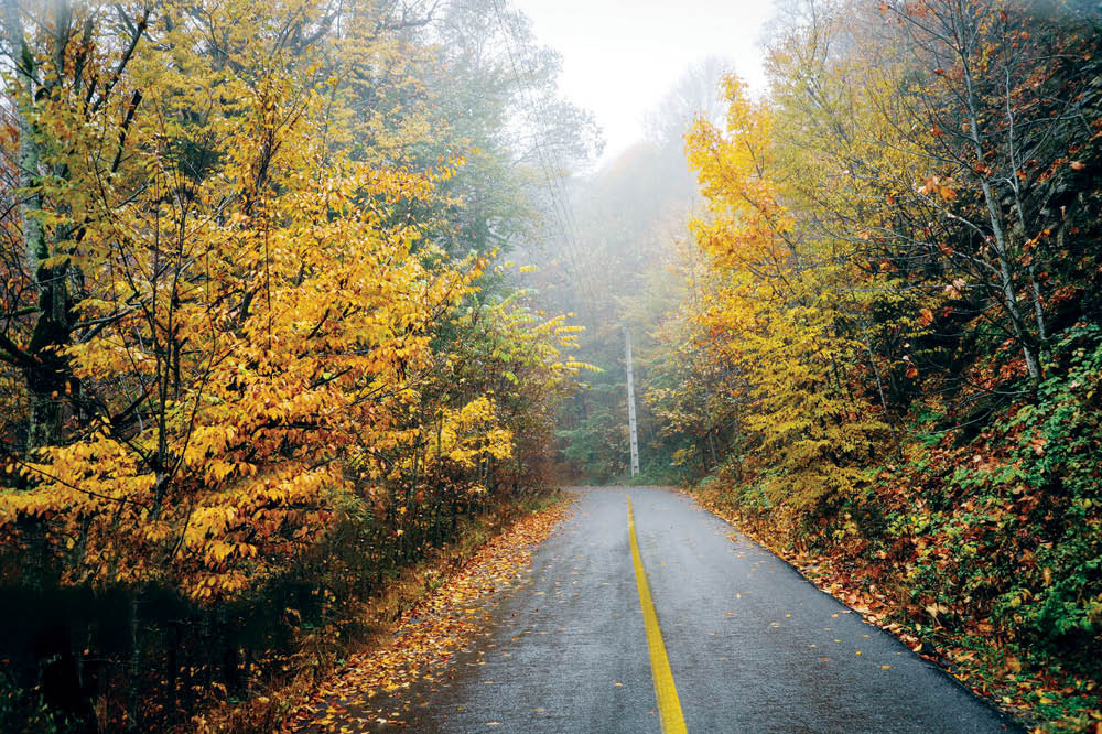 پاییز درازنو