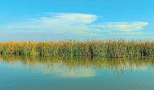 باران 3تالاب را زنده کرد