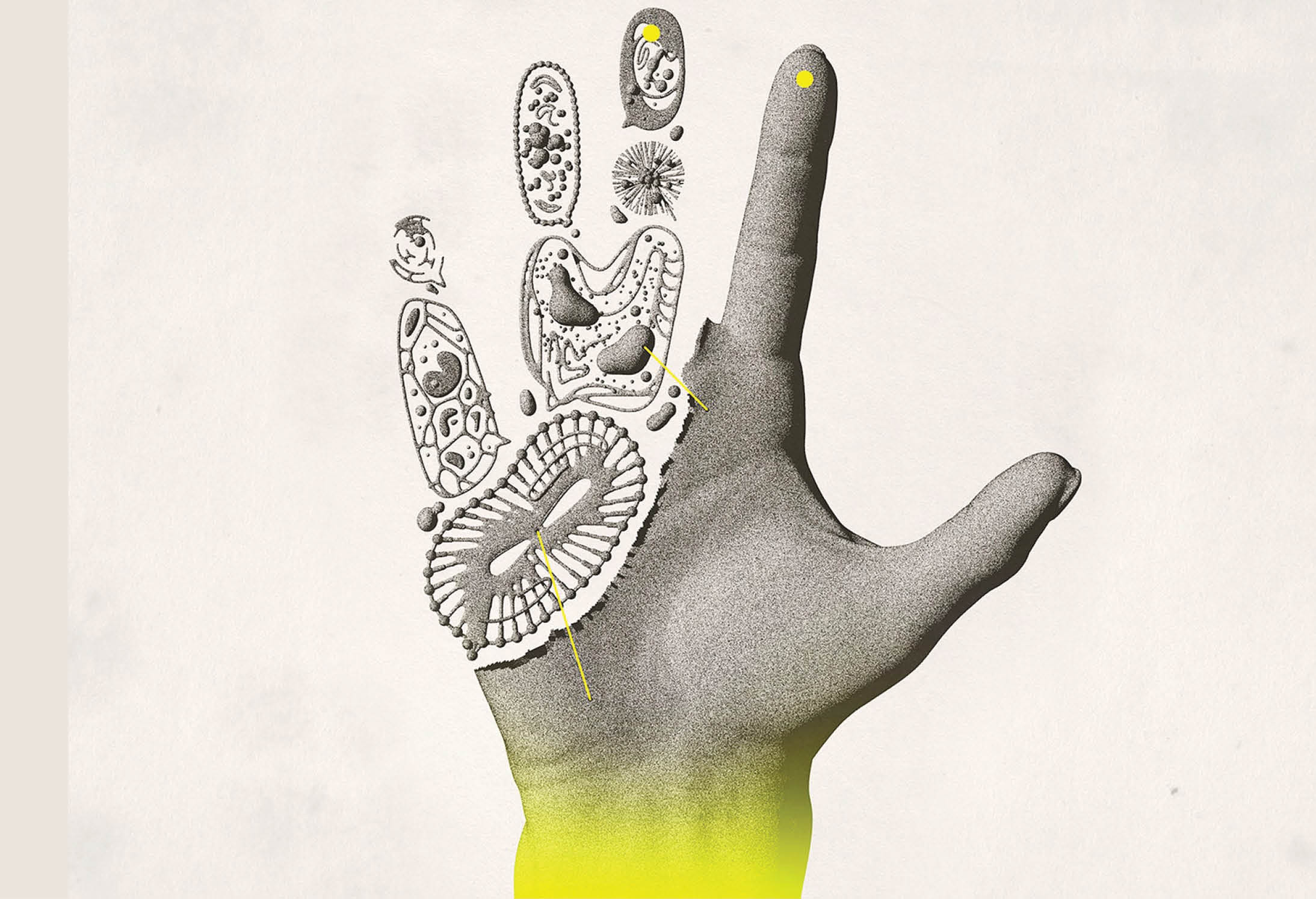 بدن‌تان‌مرمت‌می‌شود