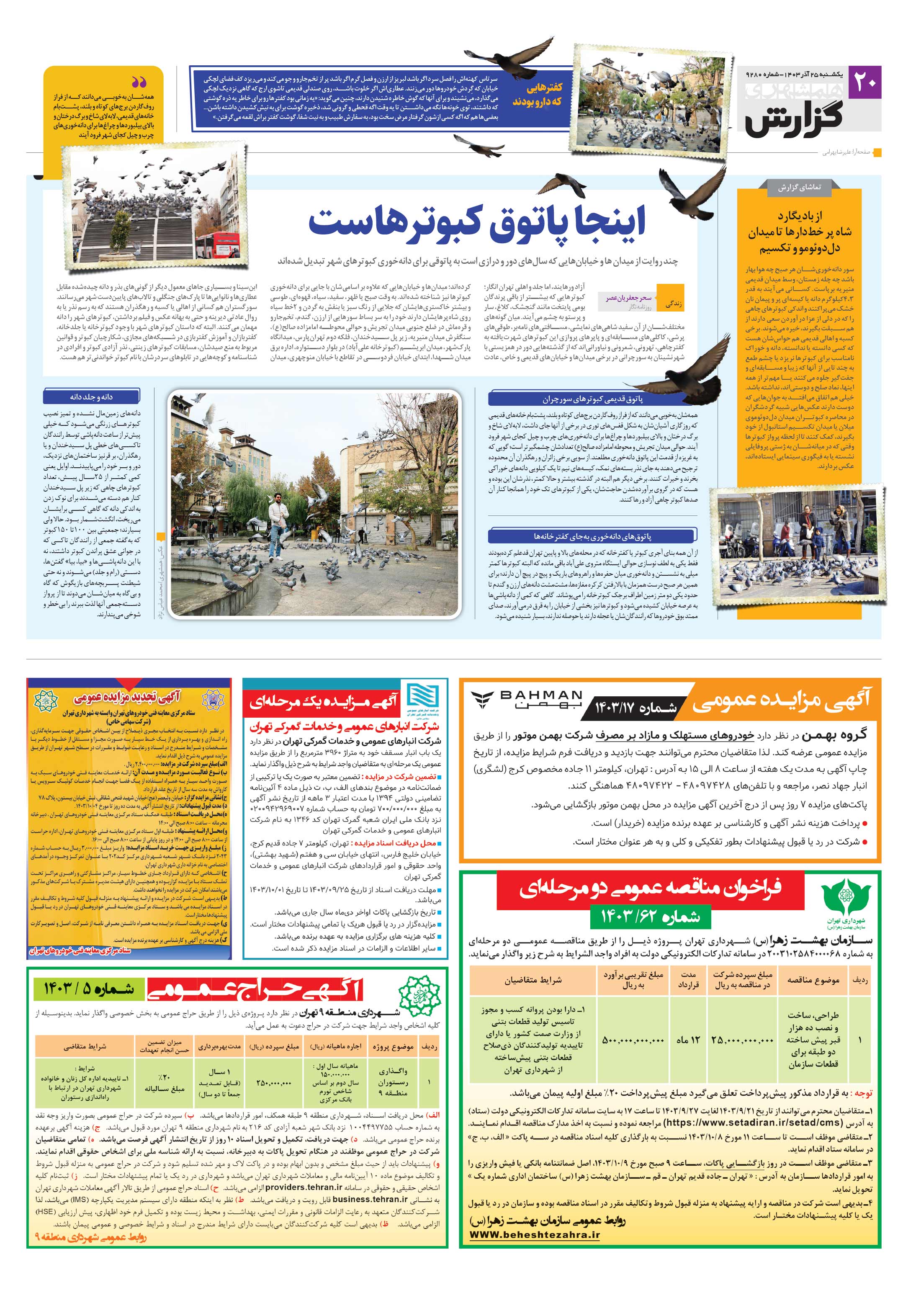 همشهری گزارش