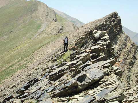 صعود بهاری با طعم چای کوهی