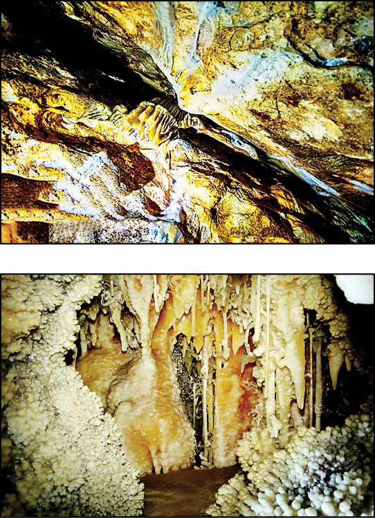 ‌‌‌چال‌نخجیر