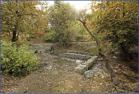 از باغ خاله تا ظروف مسی