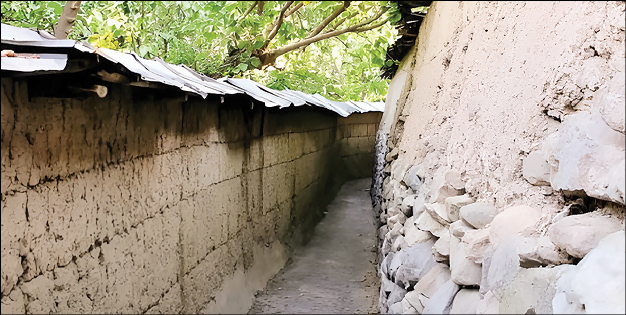 گذرهایی با خانه‌های کاهگلی و چنارهای تاریخی