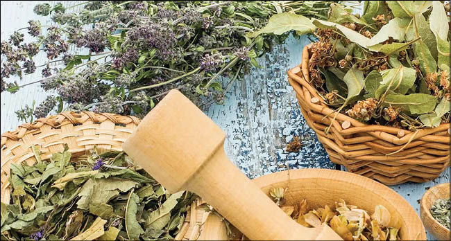 علاقه جهانی به طب گیاهی